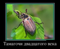 Не тамагочи, а покемон го)