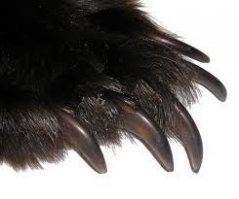 С такими крюками грех хорошо не лазить!