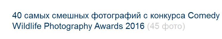 40 самых смешных фотографий с конкурса Comedy Wildlife Photography Awards 2016