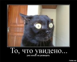 Губки бантиком, бровки домиком...