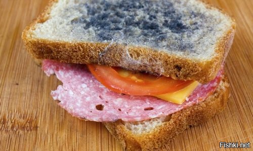 Во время АПОКАЛИПСИСА свежего хлеба найти будет крайне сложно, поэтому бутерброд будет выглядеть так: