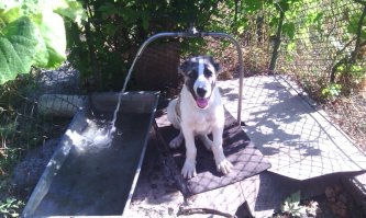 у меня вот такой злодей