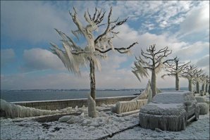 По всему миру, говорите? Гавани, говорите? Тихие гавани Европы, как понимаю. И мира. Ну-ну.....