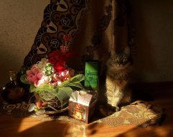 Спасибо. Знаете, когда вот из такого комочка-вырастает вот такая царица, способная радовать, успокаивать, веселить ...Можно и не такой дом строить.