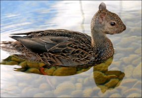 15 удивительных творений природы, по виду совершенно инопланетных