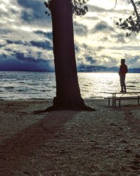 какого он на стол залез, люди кушают там, а он ногами, редиска