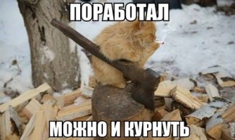 Закон о тунеядстве: мнения пользователей соцсетей