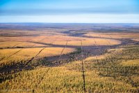 Теперь я сно, кто эти полосы делает