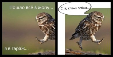 40 самых смешных фотографий с конкурса Comedy Wildlife Photography Awards 2016