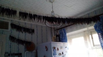 Мы скромненько...