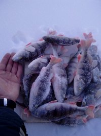 С зимней правда, но тоже кайф)!