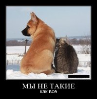 Осиротевшие страус и слоненок подружились и поддержали друг друга