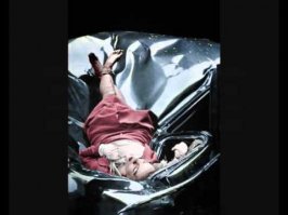 Эвелин Макхейл (англ. Evelyn Francis McHale) — американский бухгалтер, которая 1 мая 1947 года совершила самоубийство, спрыгнув со смотровой площадки небоскрёба Эмпайр-стейт-билдинг. Фотография тела Макхейл, сделанная спустя несколько минут после её смерти, в настоящее время считается одним из самых известных фотографических свидетельств самоубийства, заслужив эпитет «самое красивое самоубийство»

30 апреля 1947 года Макхейл села на поезд из Нью-Йорка в Истон (Пенсильвания), намереваясь навестить жениха. На следующий день покинув дом Родса, Макхейл вернулась в Нью-Йорк. В Нью-Йорке Макхейл поднялась на 86 этаж небоскрёба Эмпайр-стейт-билдинг и спрыгнула с находящейся там смотровой площадки.

Родс перед отъездом Макхейл в Нью-Йорк не заметил в её поведении никаких намёков на самоубийство. На смотровой площадке детектив Френк Мюррей нашёл чёрный бумажник, лежавший рядом с аккуратно сложенным пальто. В бумажнике находилась предсмертная записка Макхейл

Не хочу чтобы кто-нибудь из семьи или посторонних видел мои останки. Не могли бы вы кремировать моё тело? Прошу вас и членов моей семьи — не устраивайте по мне похоронную службу или поминки. Мой жених попросил выйти за него замуж. Не думаю, что смогла бы стать хорошей женой для кого-либо. Ему будет лучше без меня. Скажите отцу, что во мне слишком много от матери.
Её до сих пор называют "Падший ангел"