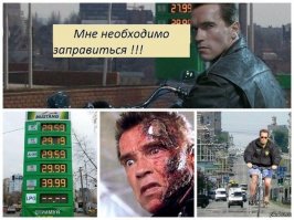 Шварценеггер рассчитался с немецкой полицией одним селфи