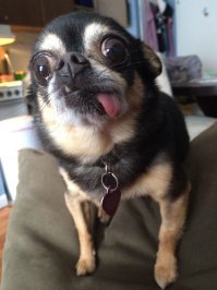 Дрожь и ненависть