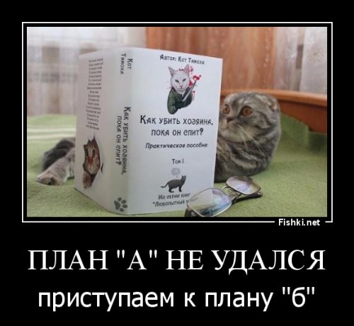 Месть Бонифация: москвичке пришлось вызвать МЧС после того, как кот ночью закрыл её на балконе