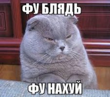  Женщина, я не танцую: нетрезвая барышня пытается пригласить парней на танец