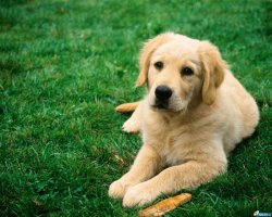 вот добрая от природы,всё остальное шелуха с заскоками.