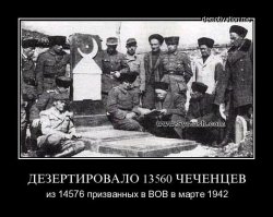 Чечня сила ?