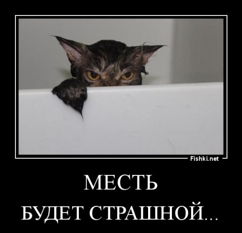 Месть Бонифация: москвичке пришлось вызвать МЧС после того, как кот ночью закрыл её на балконе