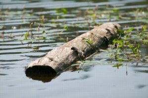 Да тогда уж так: =)