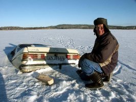 Прикольные картинки из сети