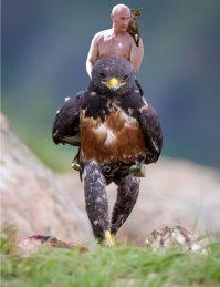 Стервятник попал в битву любителей фотошопа