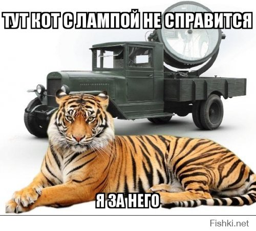 Пара смеялась над поведением 24–летнего парня. Но такого поворота они не ожидали