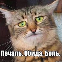 Американка похудела на 70 килограммов, испугавшись собственной фотографии