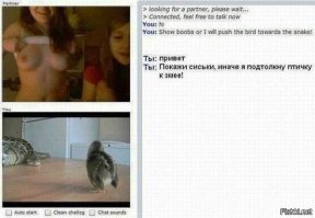 Немного баянов...