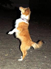3 месяца, 8 месяцев, 1 год и сейчас)))