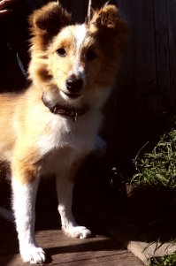 3 месяца, 8 месяцев, 1 год и сейчас)))