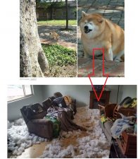 мне кажется эти фото как то связаны... так сказать следствие и причина