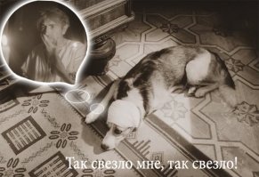 Я до сих пор помню первые дни своей жизни