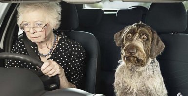 А как Вы относитесь к пожилым людям за рулем