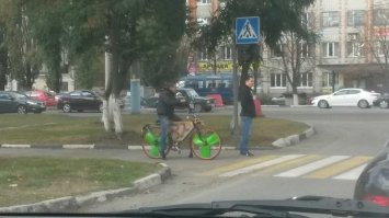 Ни чего не напоминает?