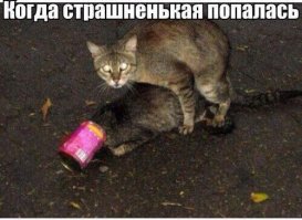 Подборка свежих демотиваторов