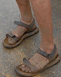 для тех, кто против носок в сандалиях.
Представьте себя в компании таких ног: