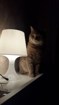 Парень нашёл гениальный способ передать своё резюме прямо в руки начальству разных компаний