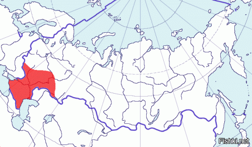 Щурка это. Золотистая щурка. И по полету, и по "посадке".  И по ареалу попадает.