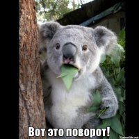 Неожиданный поворот