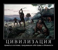 Две группировки обезьян устроили массовую драку на глазах у туристов 