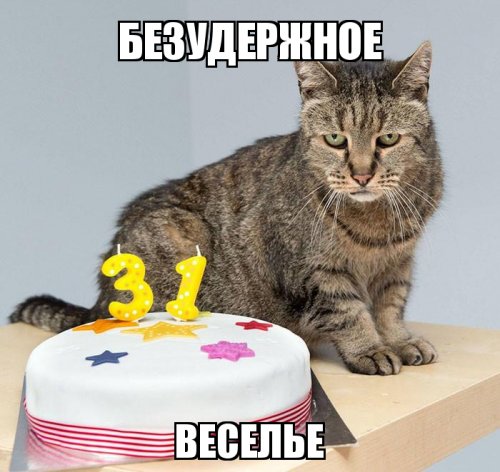 Старейший кот в мире отпраздновал 31-ый день рождения, и у него еще осталось много жизней