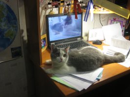 когда подрастет то и уроки проверять начнет. мой вот орфографию правил