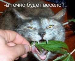 Фотоподборка за 07.10.2016