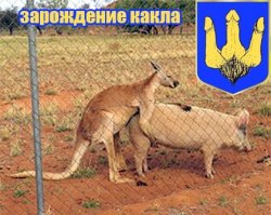 Артур!!! Я твоих родителей нашел!!!