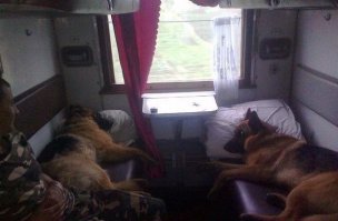 Тут военному и на верхней не поспать))