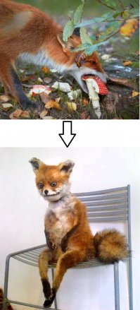 Фотоподборка за 07.10.2016