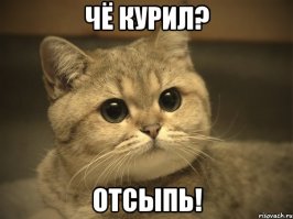 не работать коммунизм ни как не обещал