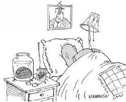 У кого самые большие и тяжёлые мозги?